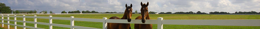 Horse properties of Texas